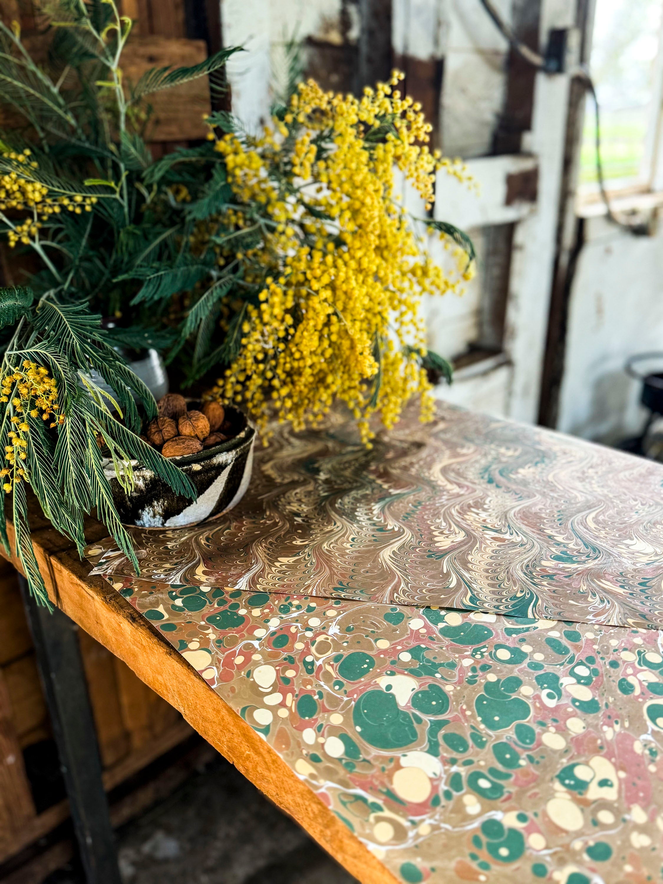 Ansuini & Co. European Marbling Workshop