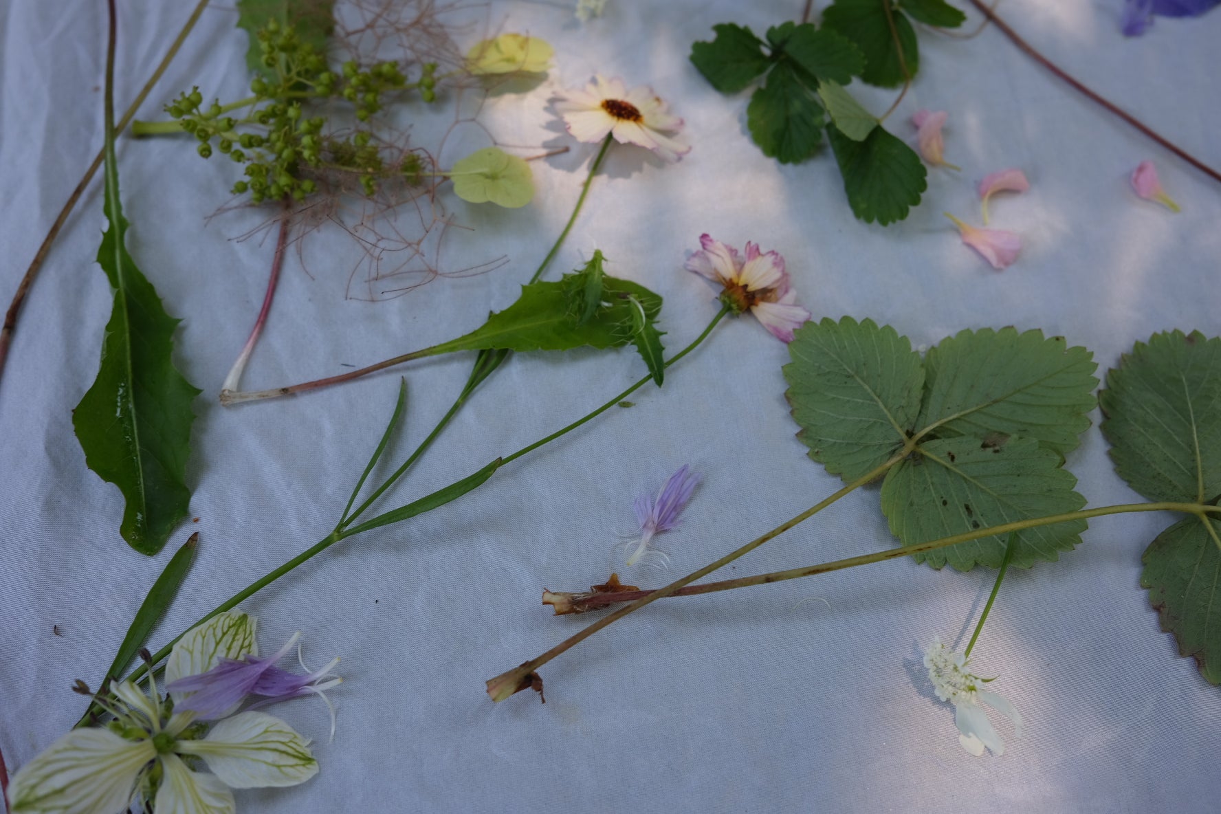 Ecoprinting with Hellenius Botanicals