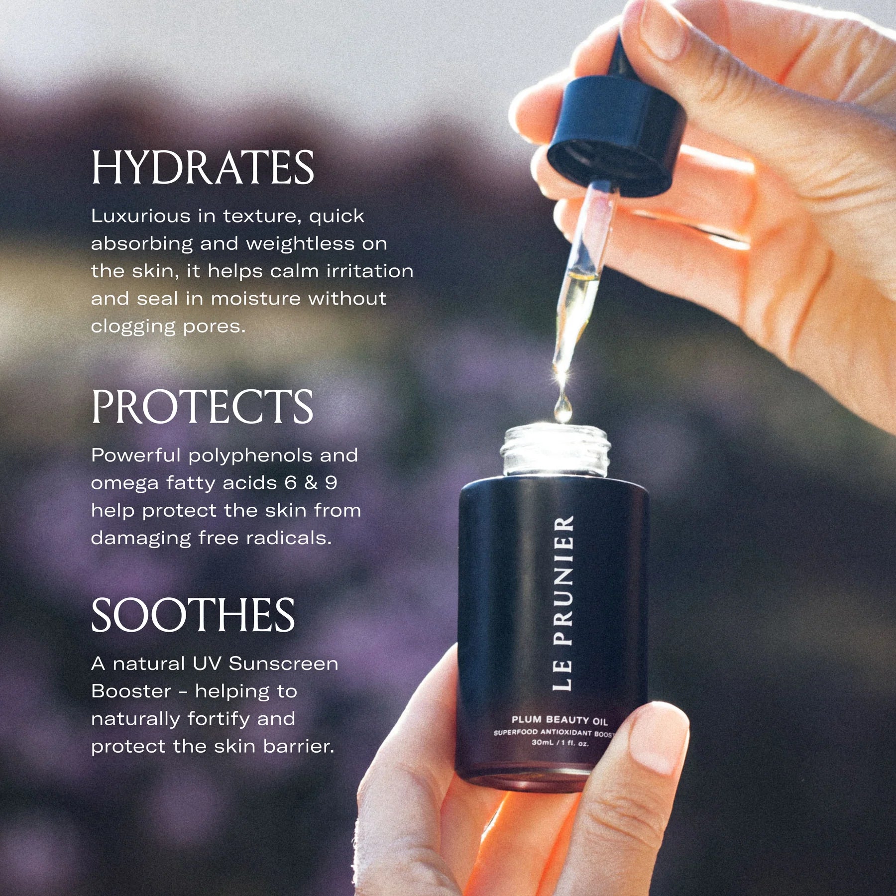 Le Prunier Plum Beauty Oil