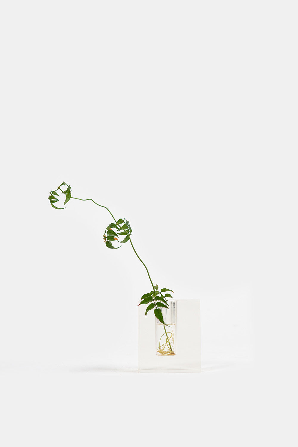 Mid Century Glass Bud Vase