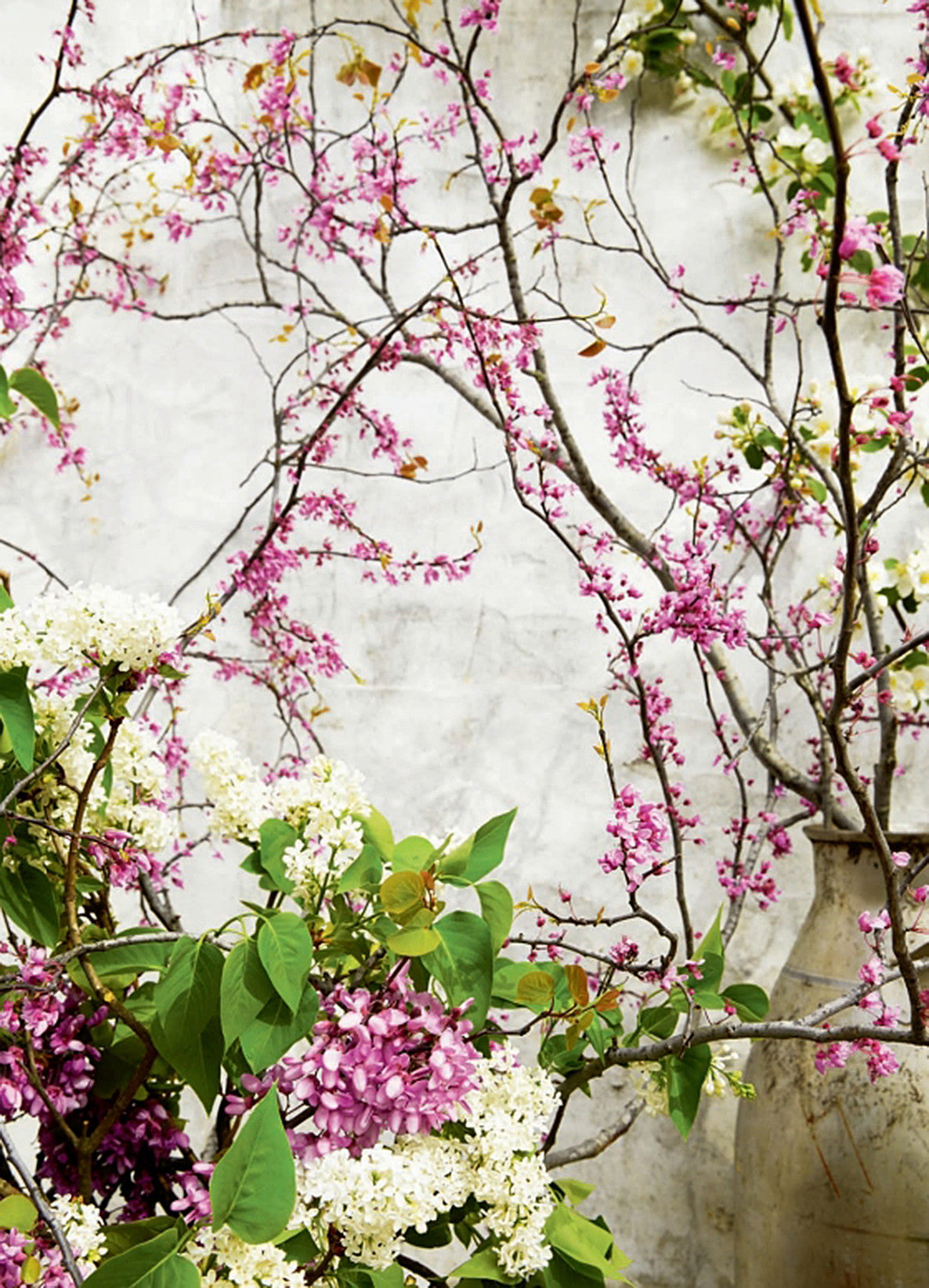 Foraged Flora by Louesa Roebuck & Sarah Lonsdale