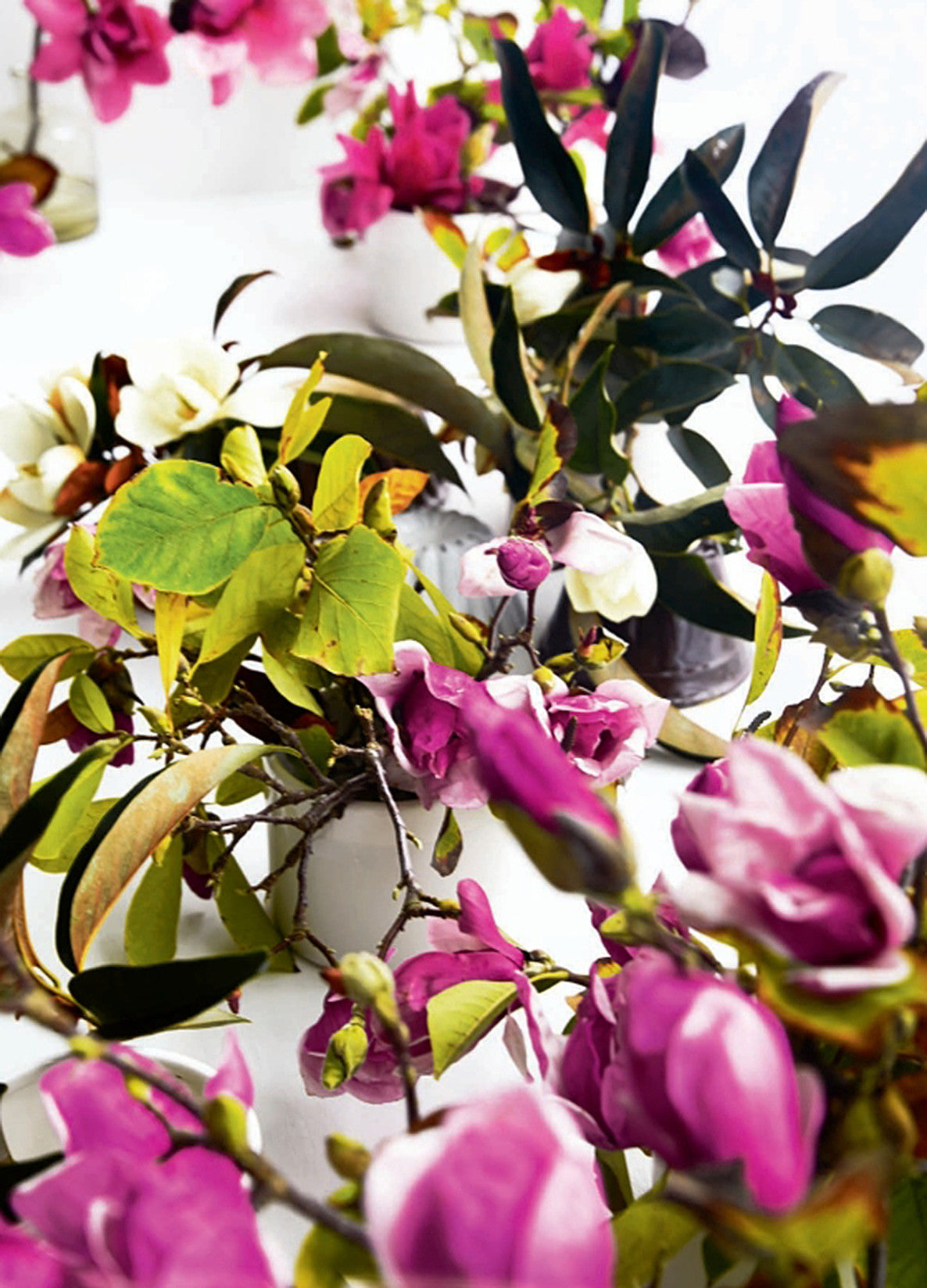 Foraged Flora by Louesa Roebuck & Sarah Lonsdale