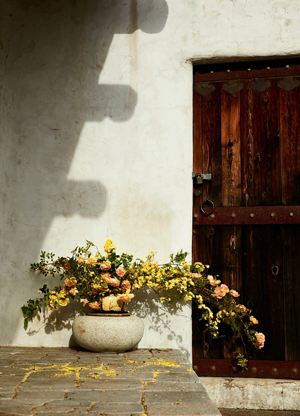 Foraged Flora by Louesa Roebuck & Sarah Lonsdale