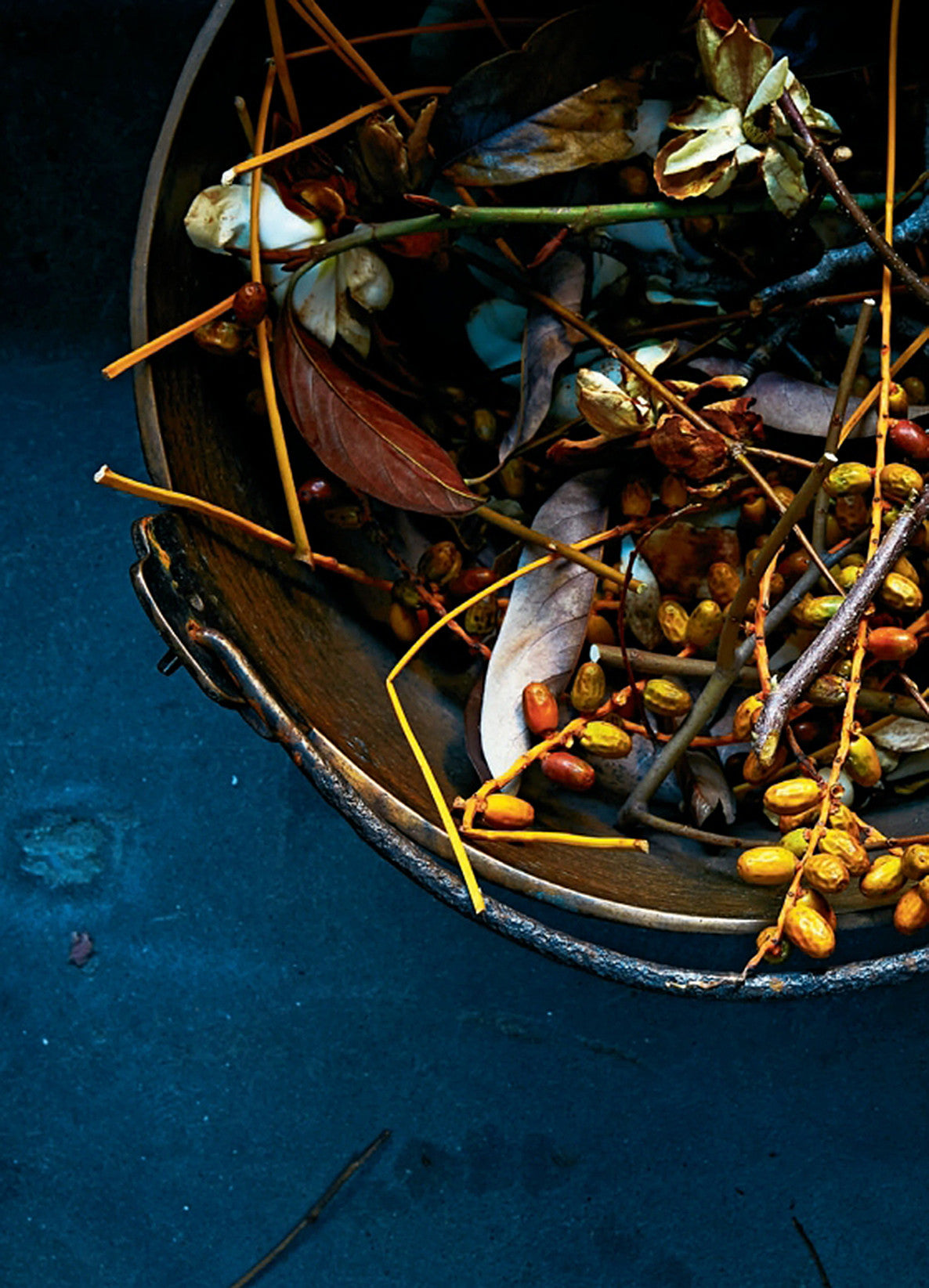 Foraged Flora by Louesa Roebuck & Sarah Lonsdale