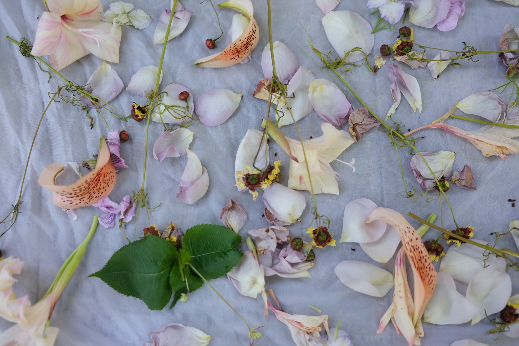 Ecoprinting with Hellenius Botanicals