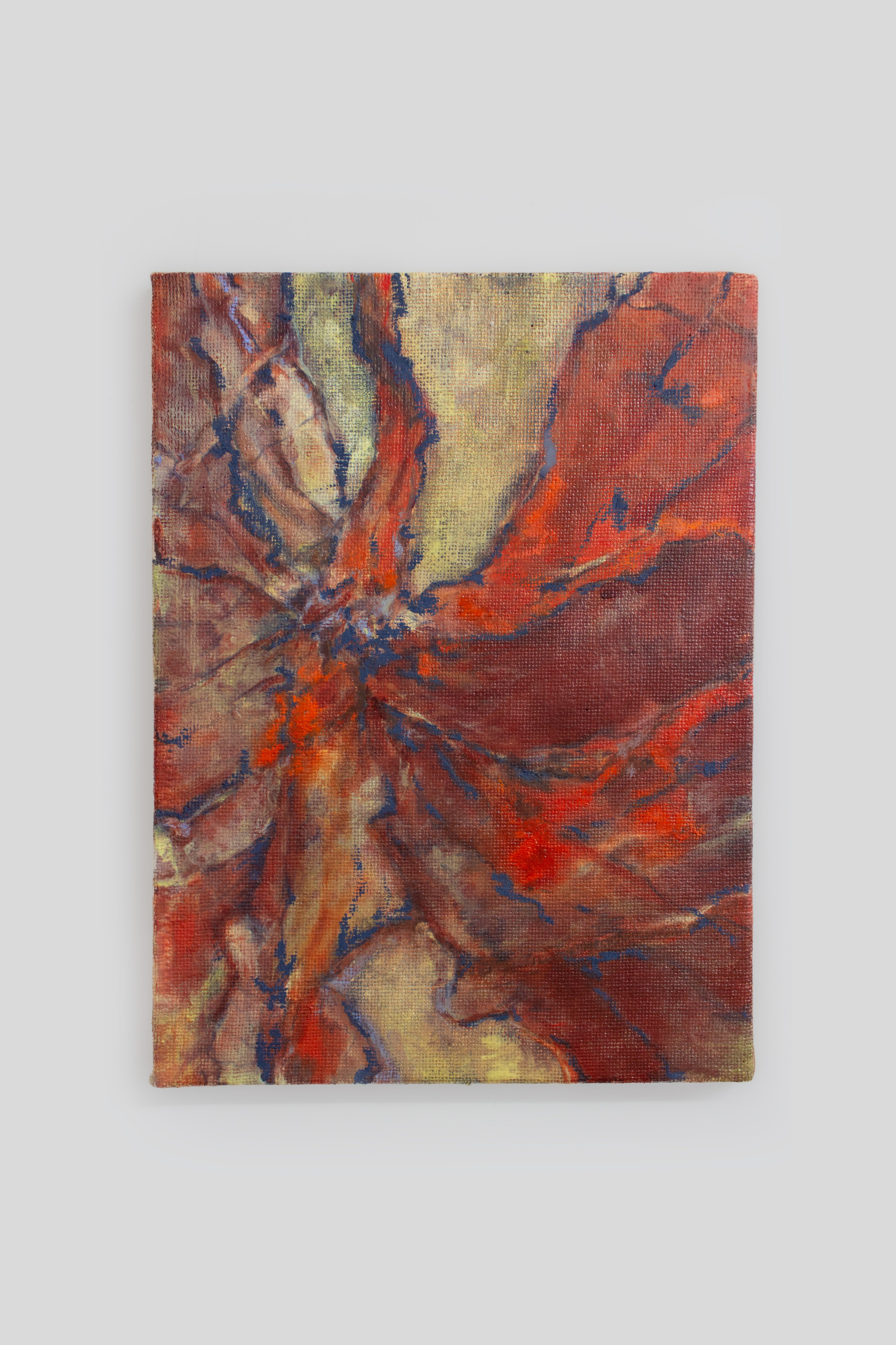 Emma Moriconi Intimus, 2025