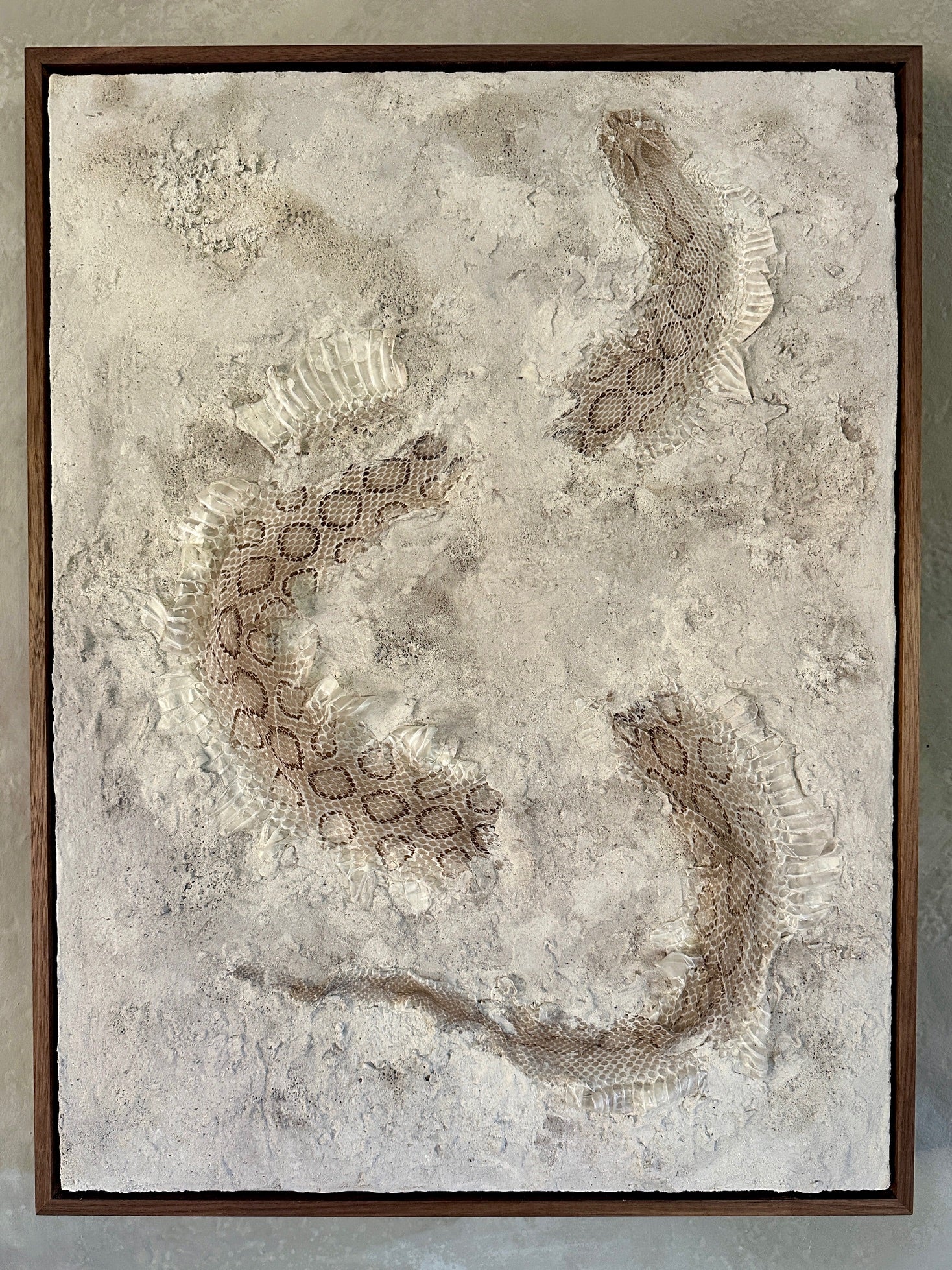 Syslee Rawlinson Russell's Viper No. 1
