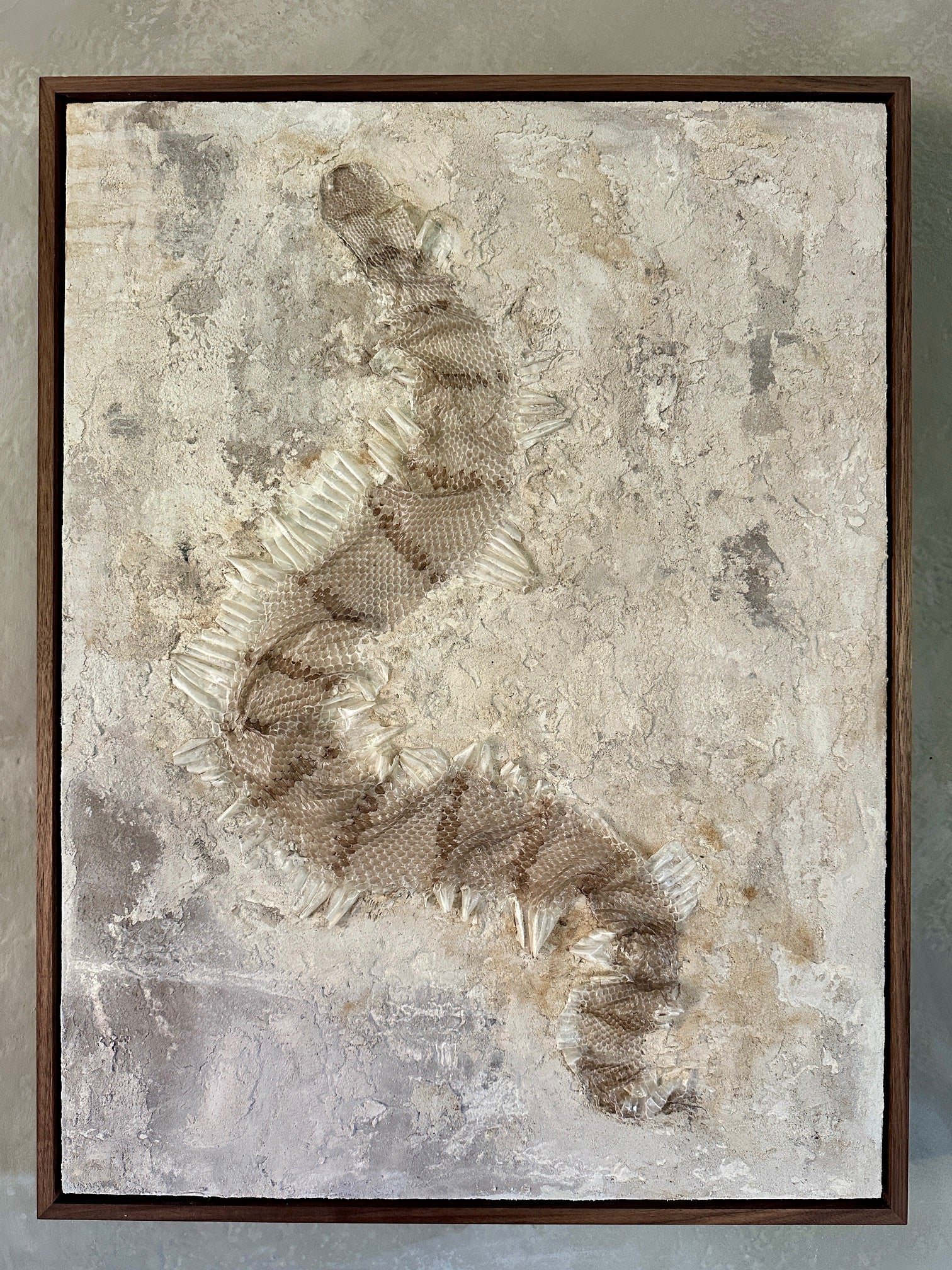 Syslee Rawlinson Banded Rock No. 1