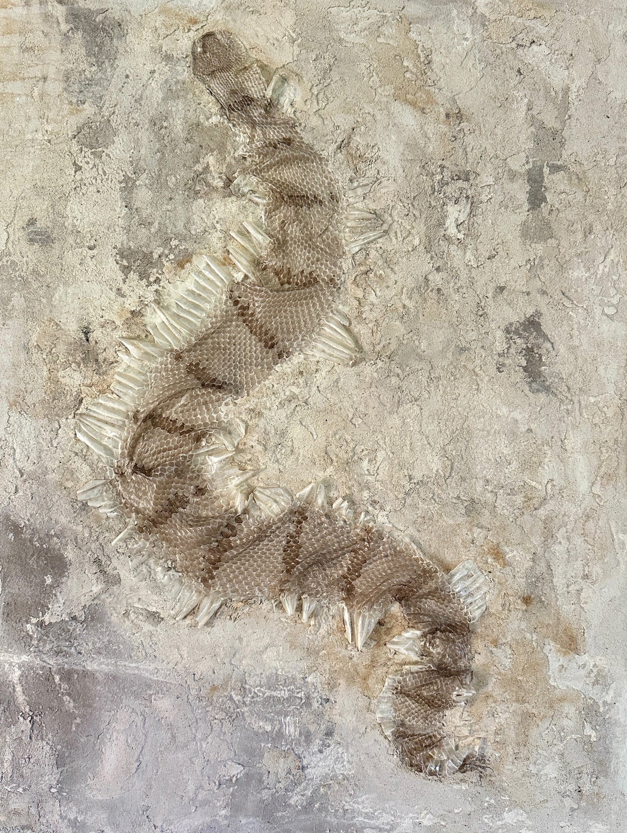 Syslee Rawlinson Banded Rock No. 1