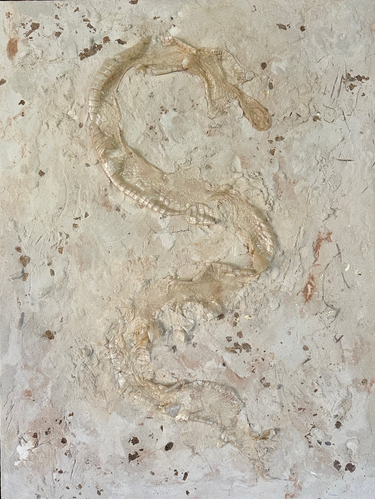 Syslee Rawlinson Albino Monocled No. 1