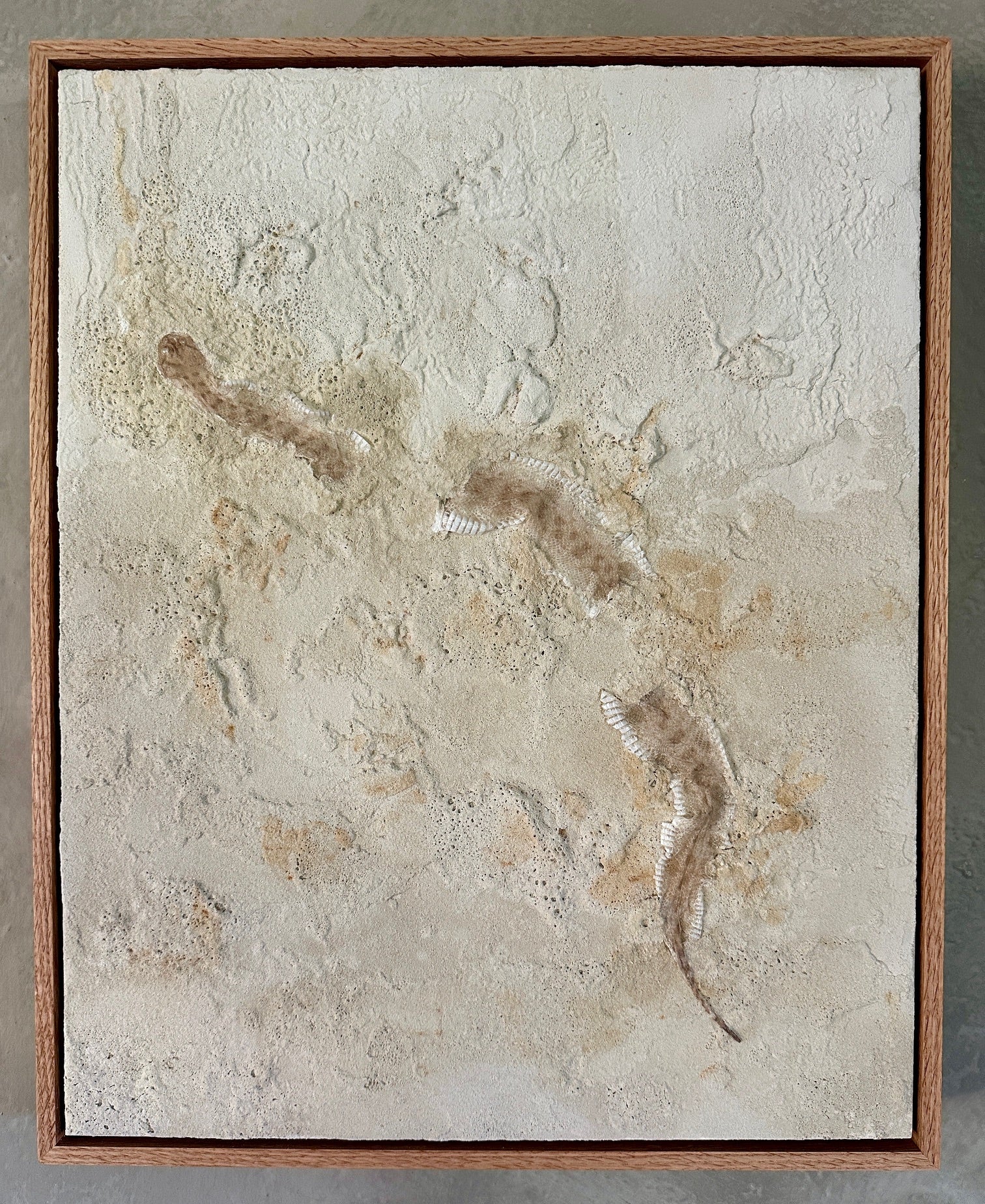 Syslee Rawlinson Desert Horned Viper No. 1