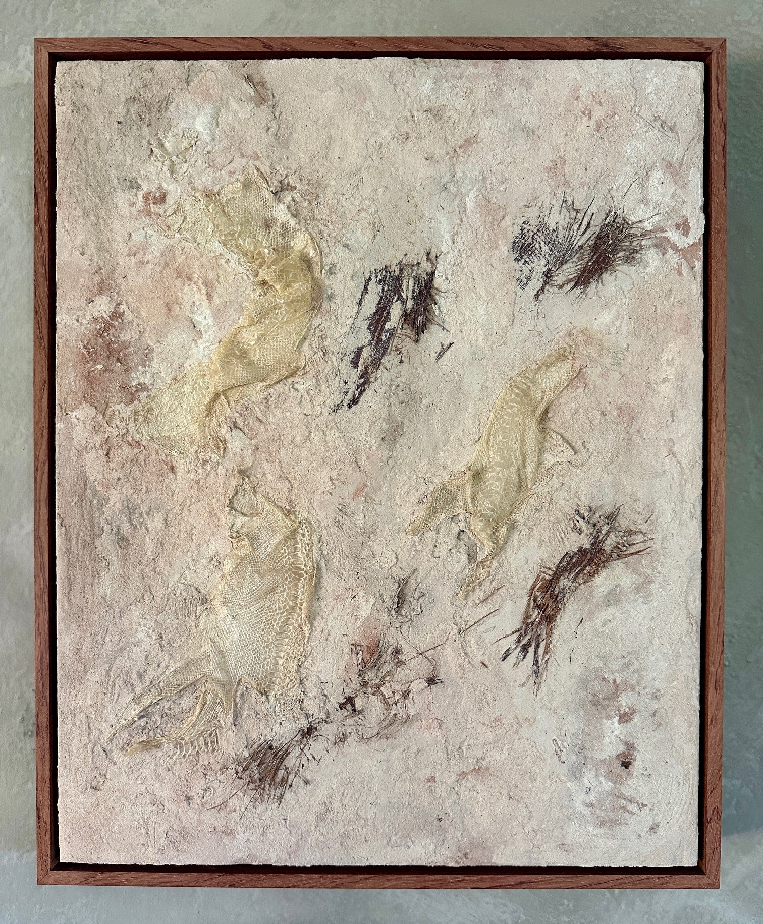 Syslee Rawlinson Palm No. 1
