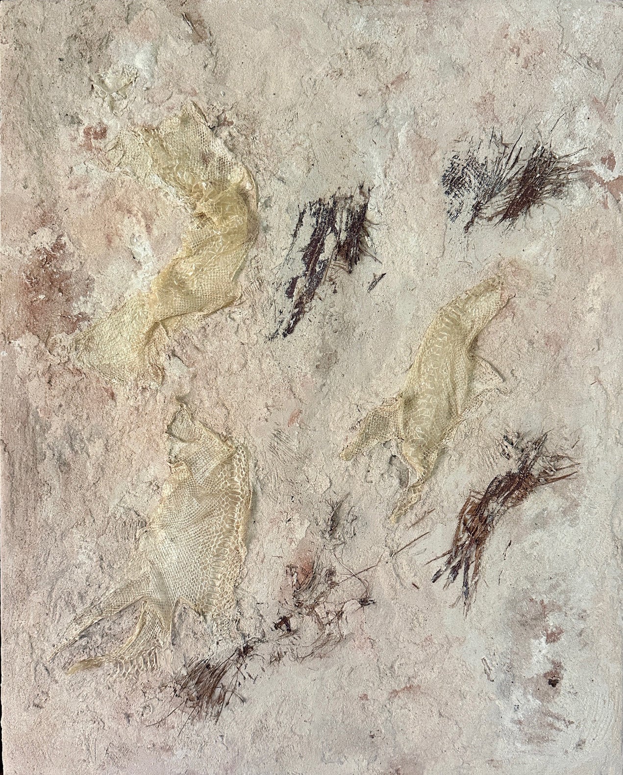 Syslee Rawlinson Palm No. 1