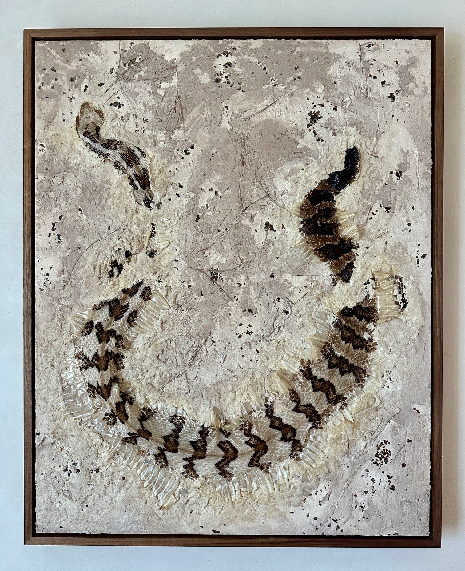 Syslee Rawlinson Canebrake No. 1