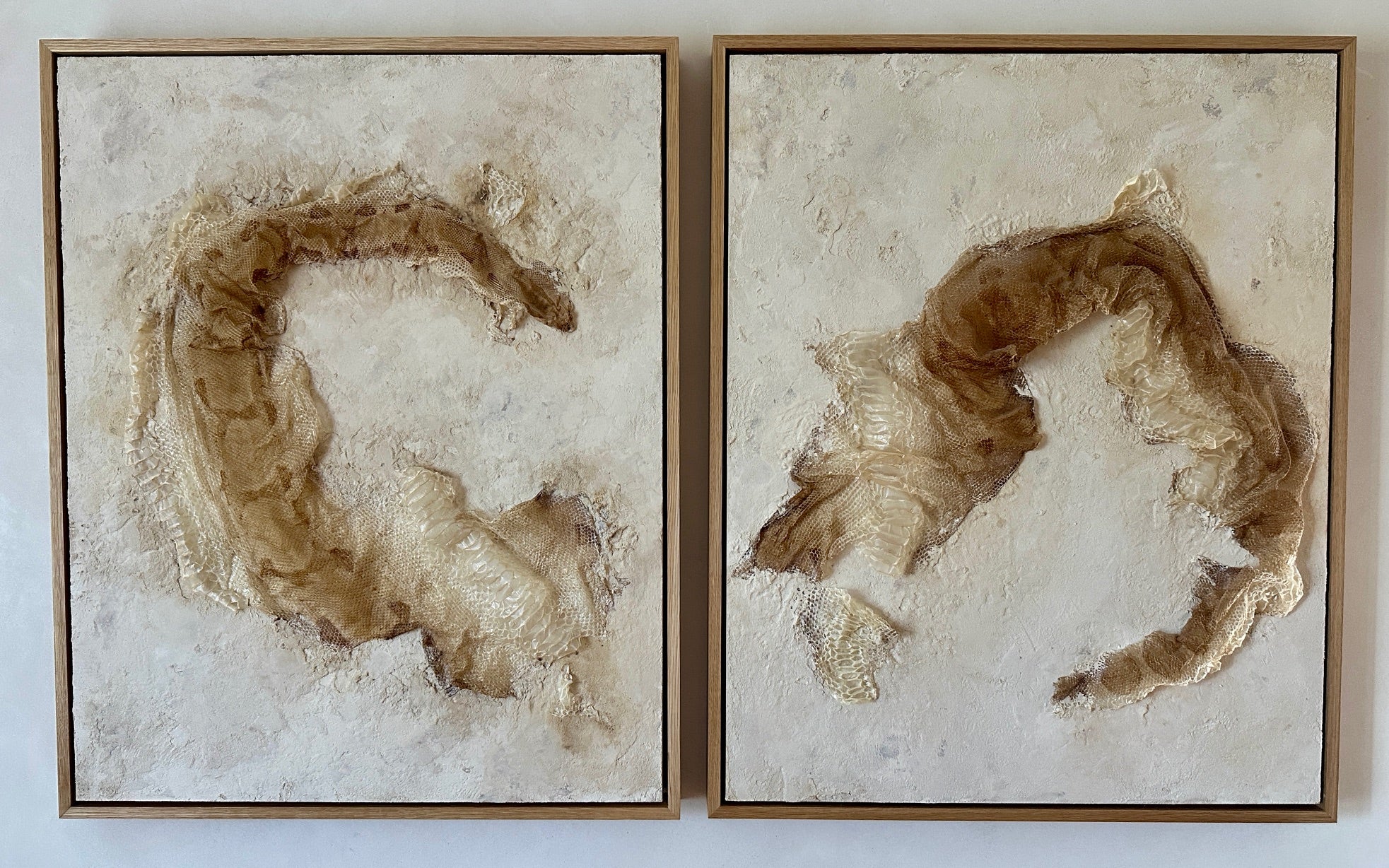 Syslee Rawlinson Boa No. 2 (DIPTYCH)