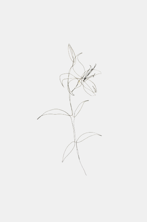 Isabelle Tanov Lily in Bloom