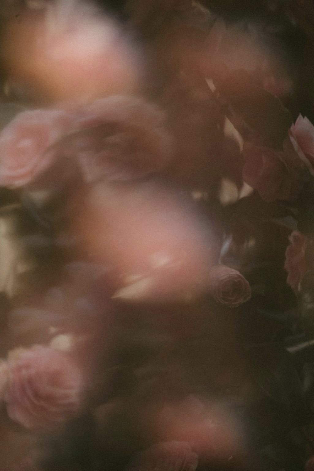 Natural Perfume Making Workshop with Jessica Mennella of FLWR Napa Valley