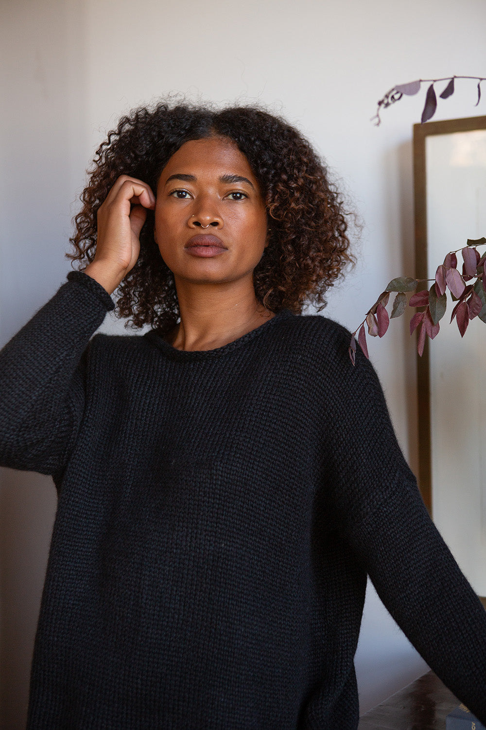 Gabrielle Alpaca Wool Rollneck Sweater In Black