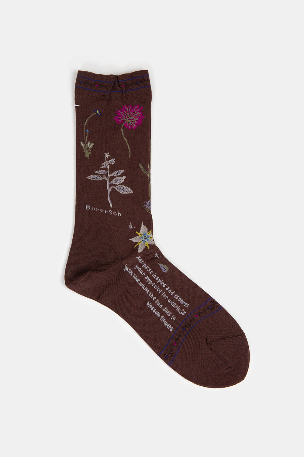 Antipast Botanical XVII Socks in Dark Brown