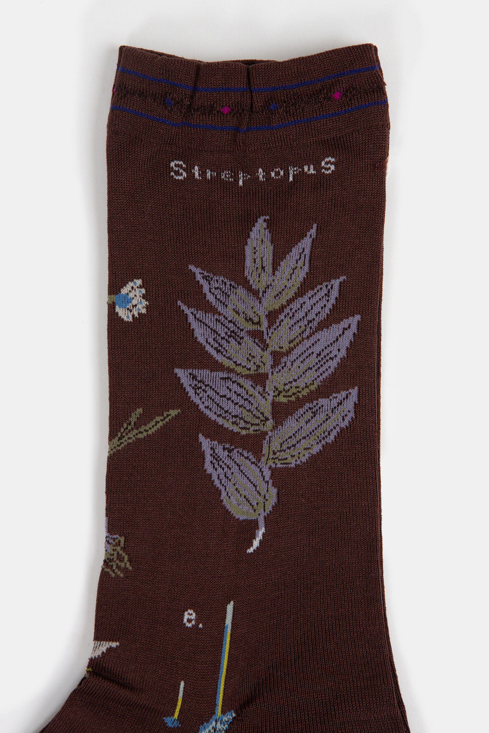 Antipast Botanical XVII Socks in Dark Brown