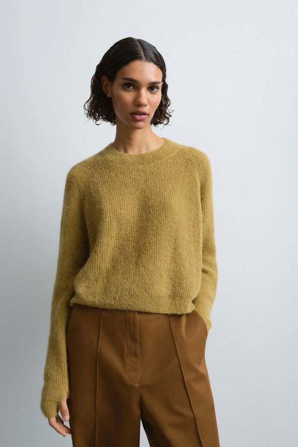 Cordera Suri Long Sleeve Sweater In Olive