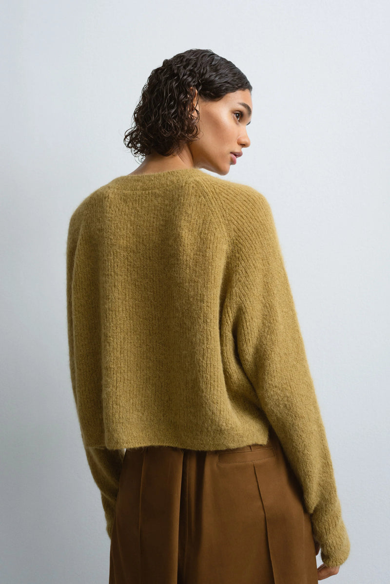 Cordera Suri Long Sleeve Sweater In Olive