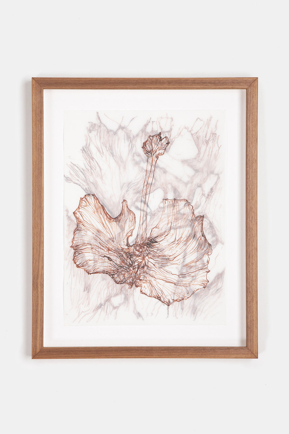 Emma Moriconi Source II, 2025