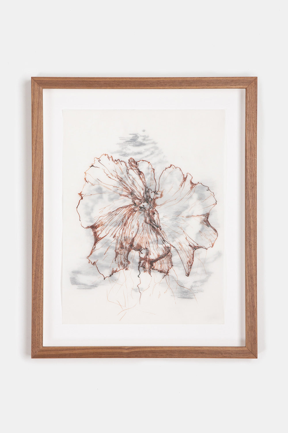 Emma Moriconi Source III, 2025