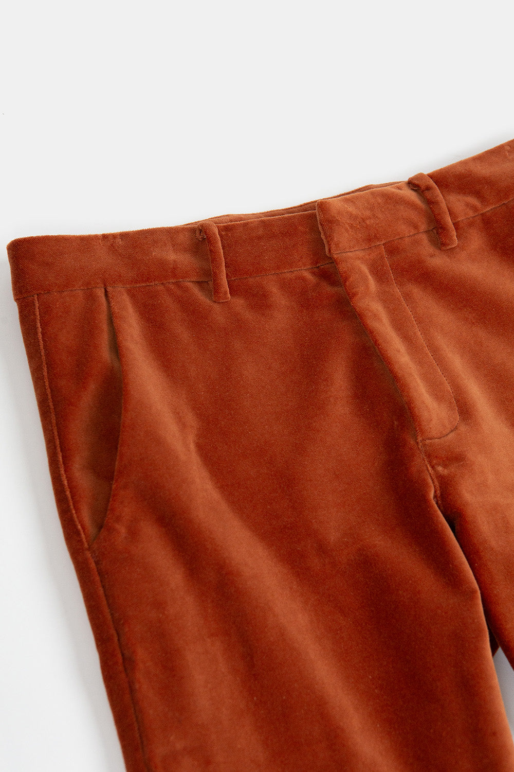 Hudson Cotton Velvet Pant In Cinnamon