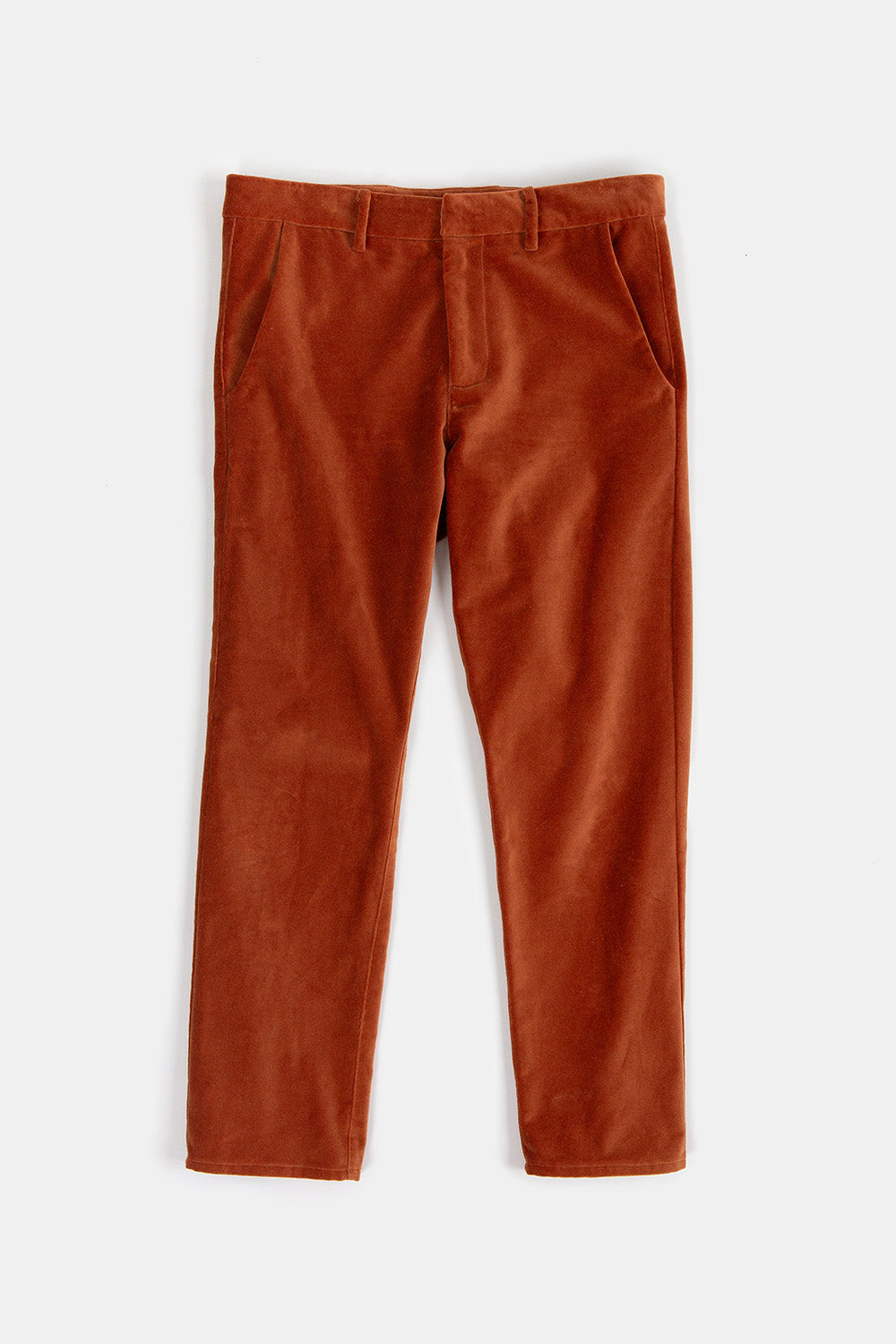 Hudson Cotton Velvet Pant In Cinnamon