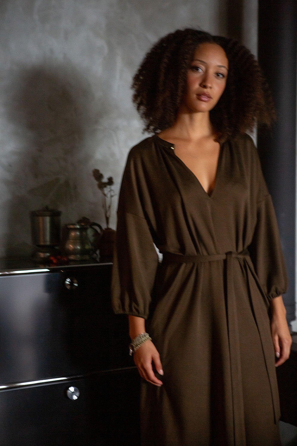 Tynan Wool Silk Dress in Cardamom