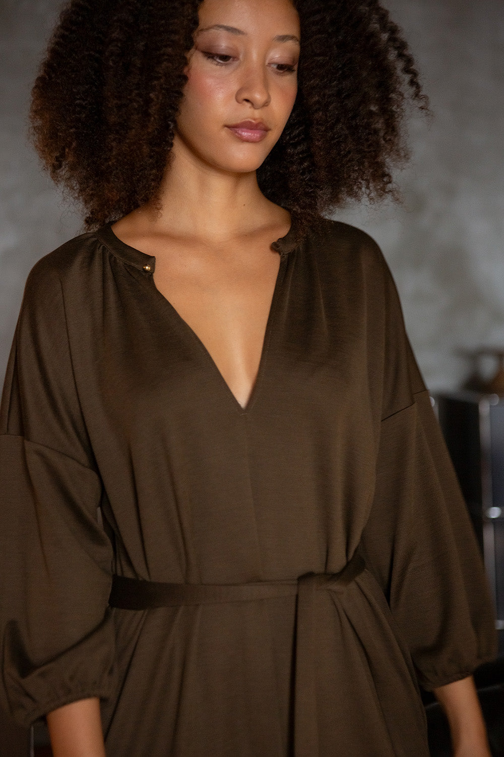 Tynan Wool Silk Dress in Cardamom