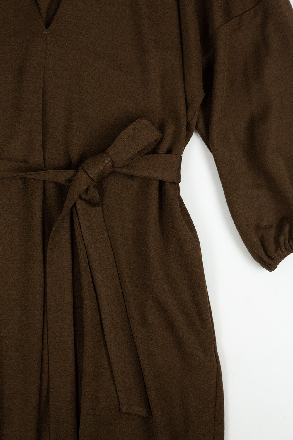 Tynan Wool Silk Dress in Cardamom