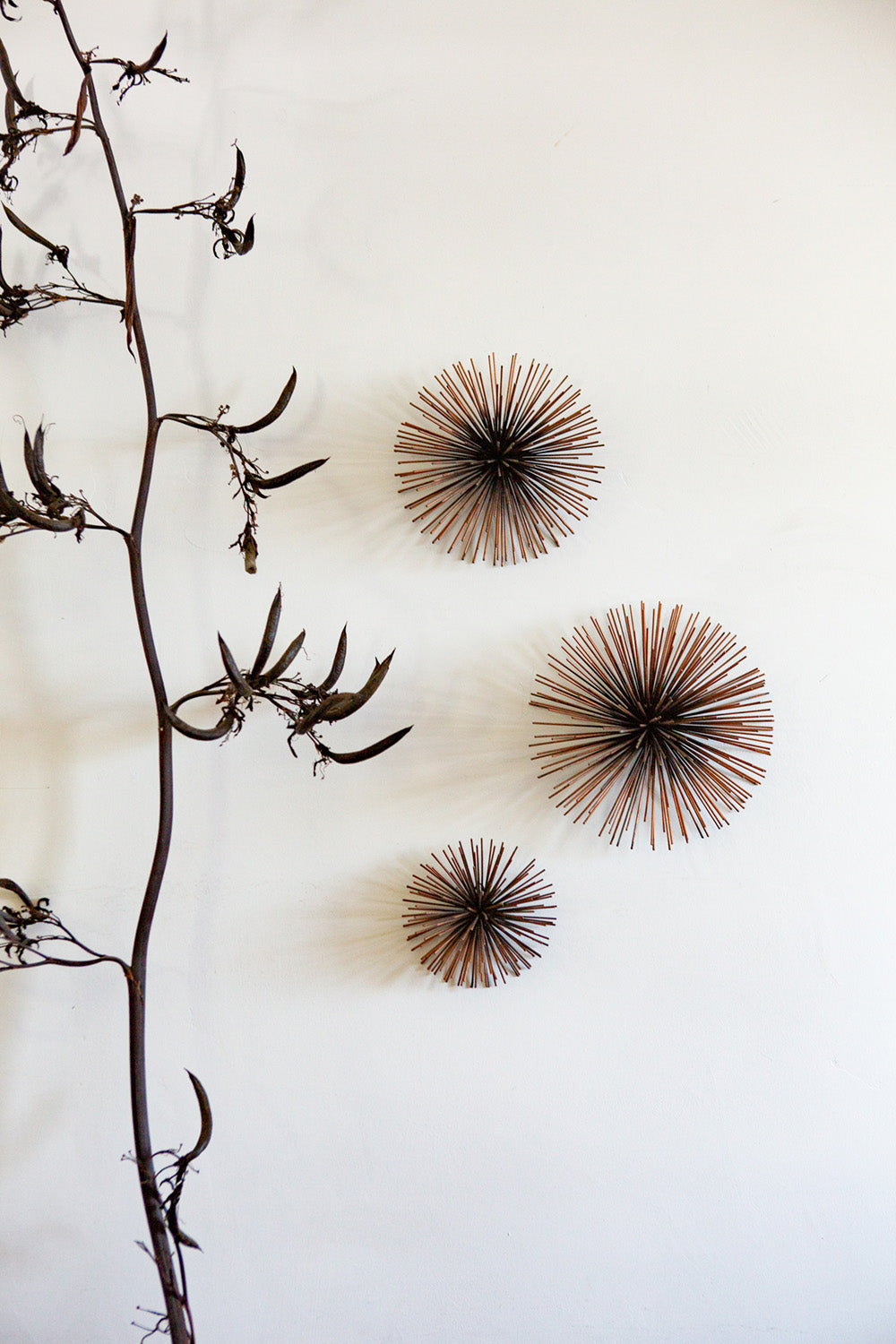 Trio of Mid Century Urchin Wall Hangings