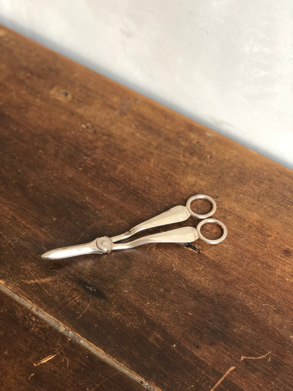 Silver Grape Shears