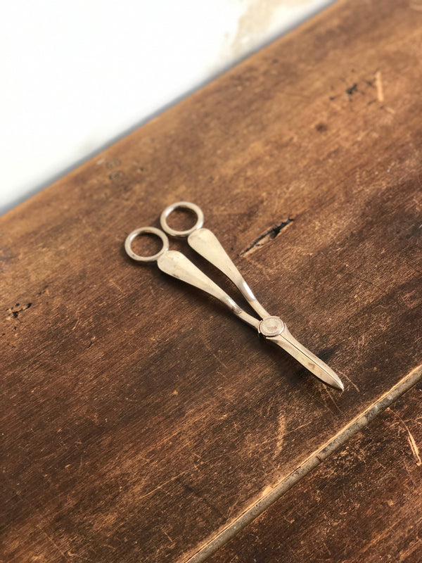 Silver Grape Shears