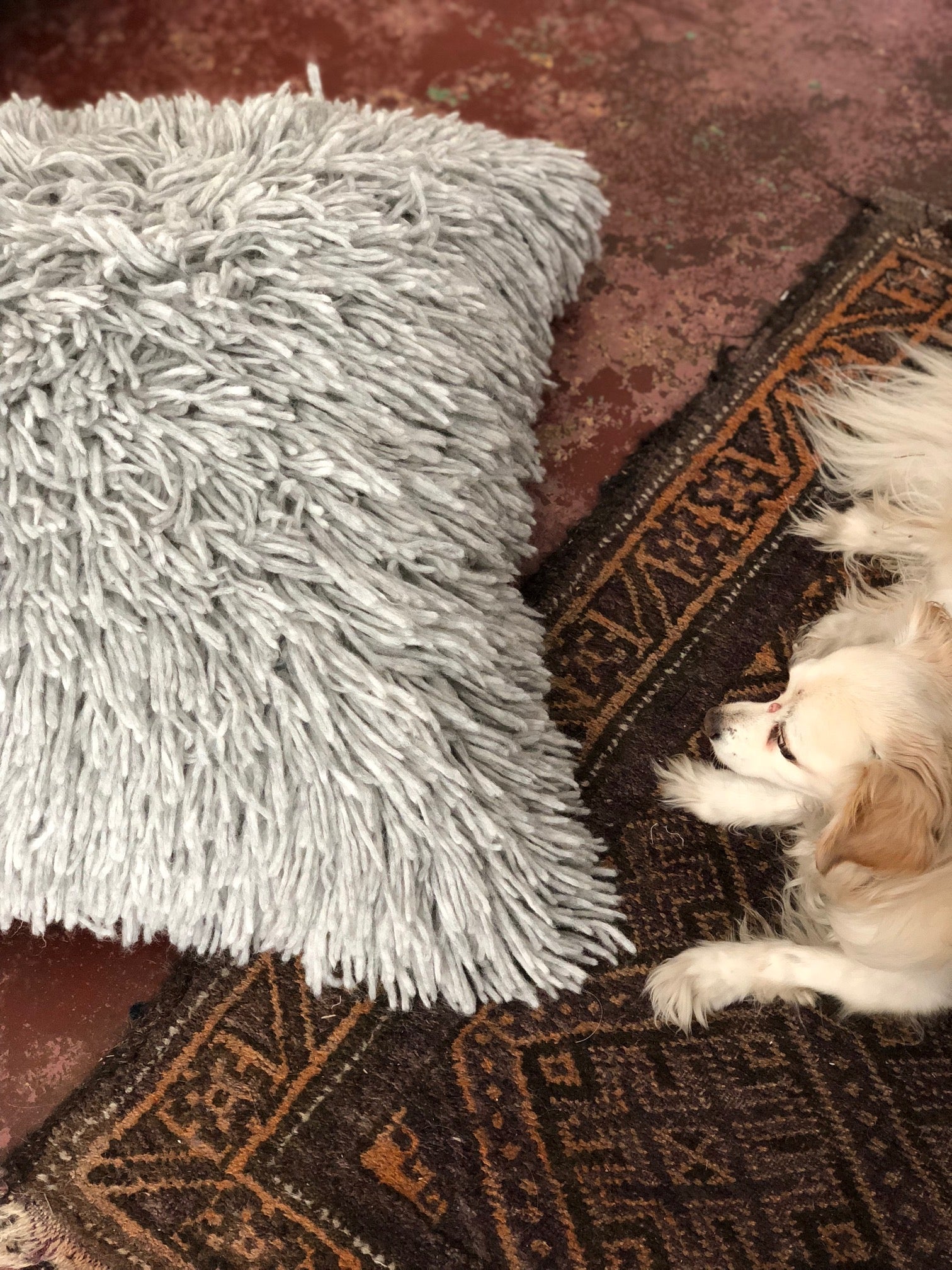 Wool and Alpaca Shag Floor Pillow in Light Grey