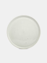 WRF Large Plate in Mist