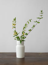 Notary Ceramics Exclusive Vase